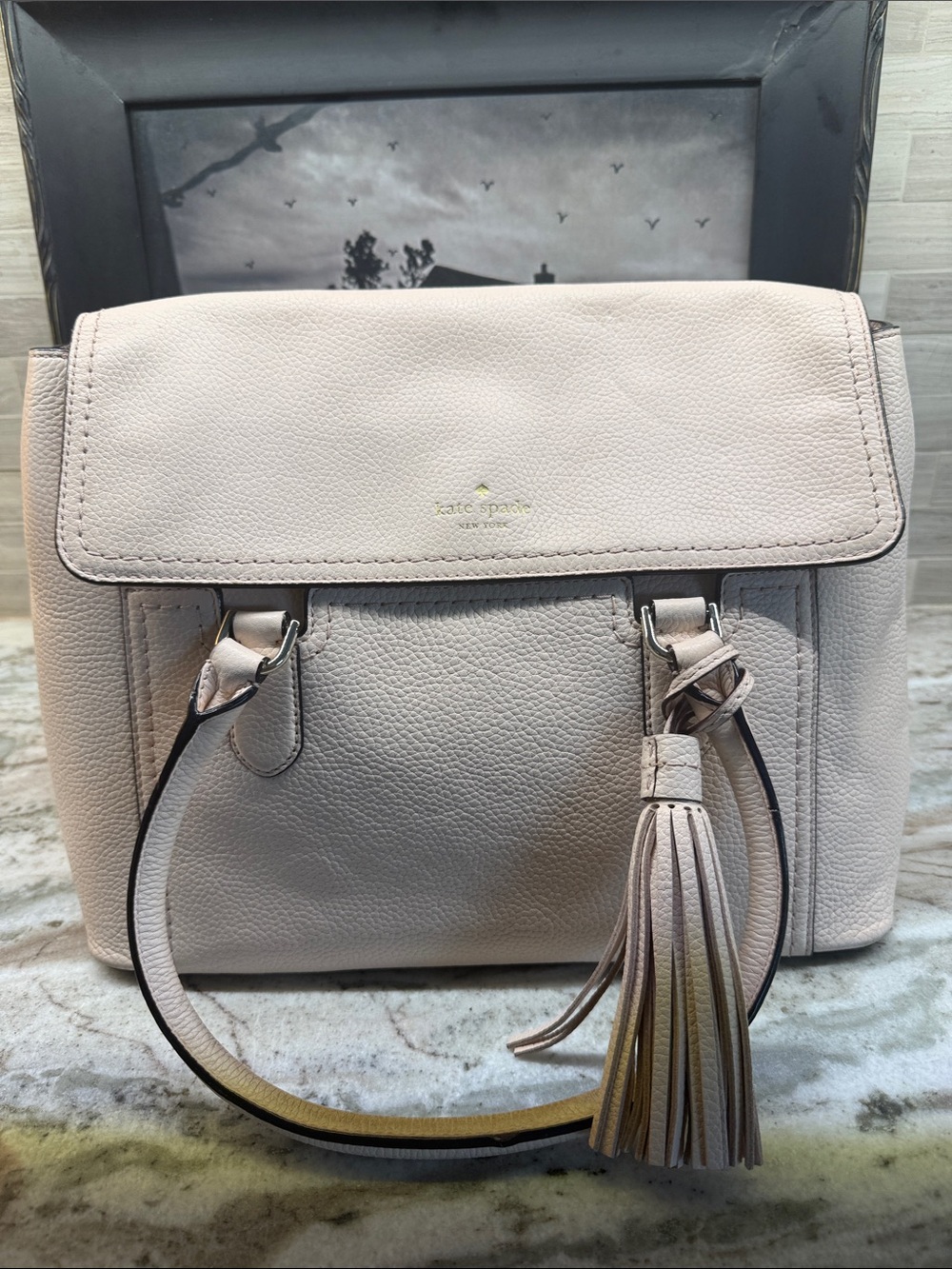 kate spade Blush Leather Tassel Satchel